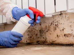 Best Mold Prevention Services  in USA